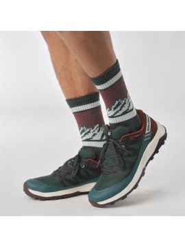 Кроссовки SALOMON OUTRISE GTX Ponder/Bchoco/Vanila