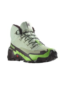 Кроссовки Salomon CROSS HIKE MID GTX 2 Desert Sage/Green Gecko/Chocolate Plum Male