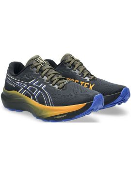 Кроссовки ASICS GT-2000 14 GTX MEN black/vanilla